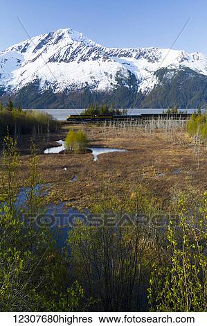 Scenic view of snow capped mountains near Bird Point as the Alaska Railroad passenger train passes by, Southcentral Alaska, USA View Large Photo Image Stock Photograph - Scenic view of snow capped mountains near Bird Point as the Alaska Railroad passenger train passes by, Southcentral Alaska, USA. Fotosearch