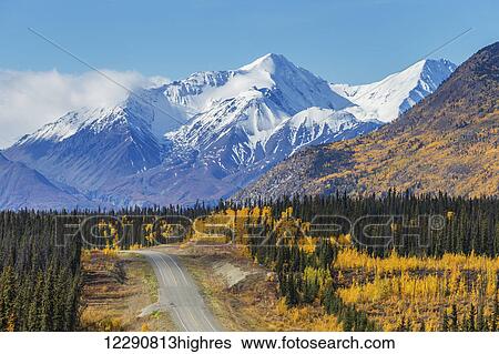 Scenic view of the Alaska Highway with snow capped peaks of the St. Elias mountains and colorful trees in the background, Yukon Territory, Canada, autumn View Large Photo Image Stock Photograph - Scenic view of the Alaska Highway with snow capped peaks of the St. Elias mountains and colorful trees in the background, Yukon Territory, Canada, autumn. Fotosearch