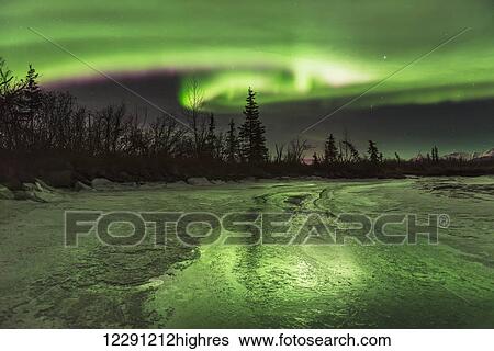 Scenic view of the aurora borealis over the frozen Knik River, Southcentral Alaska View Large Photo Image Stock Photograph - Scenic view of the aurora borealis over the frozen Knik River, Southcentral Alaska. Fotosearch