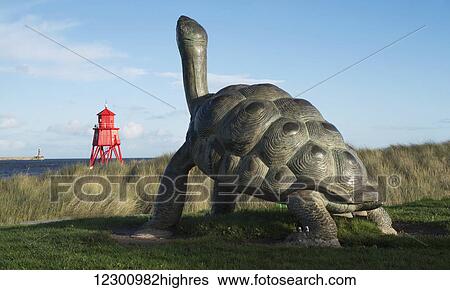 Stock Photograph - Sculpture of a turtle and the Herd Groyne Lighthouse; South Shields, Tyne and Wear, England. Fotosearch