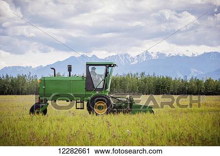 Self propelled disc mower cutting a field of hay (grass); Delta Junction, Alaska, United States of America View Large Photo Image Stock Image - Self propelled disc mower cutting a field of hay (grass); Delta Junction, Alaska, United States of America. Fotosearch