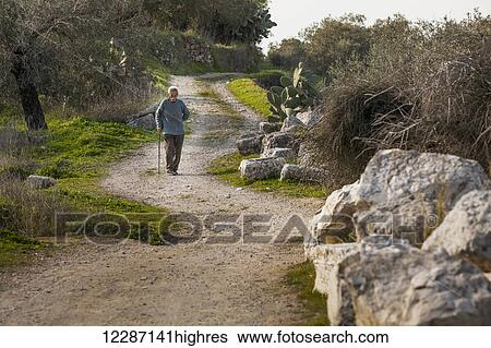 Senior man walking an a dirt path; Sabasita, Samaria, Israel View Large Photo Image Stock Photograph - Senior man walking an a dirt path; Sabasita, Samaria, Israel. Fotosearch