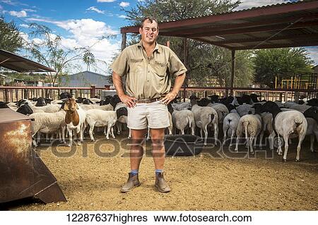 Stock Photograph - Sheep and game farmer; Koes, Namibia. Fotosearch