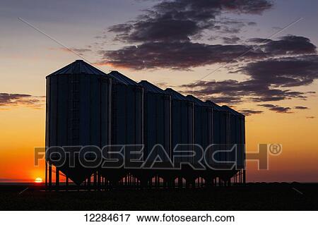 Silhouette of a row of large metal grain bins with the sunrise in the background and colourful clouds; Alberta, Canada View Large Photo Image Stock Photo - Silhouette of a row of large metal grain bins with the sunrise in the background and colourful clouds; Alberta, Canada. Fotosearch