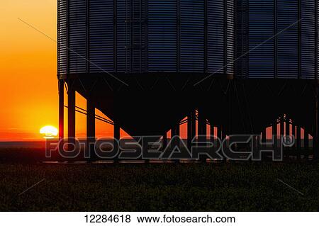 Stock Photo - Silhouette of a row of large metal grain bins with the sunrise in the background and colourful clouds; Alberta, Canada. Fotosearch