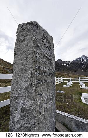 Stock Photograph - Sir Ernest Shakleton grave stone; Grytviken, South Georgia, South Georgia and the South Sandwich Islands, United Kingdom. Fotosearch