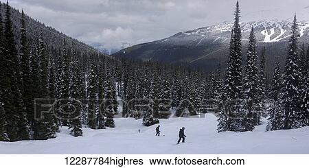 Stock Photograph - Skiing down resort ski hill; Whistler, British Columbia, Canada. Fotosearch