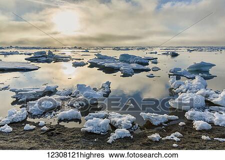Stock Photograph - Small pieces of sea ice congregate on the shore of the Arctic Ocean on a calm day, Barrow, Arctic Alaska, USA, Summer. Fotosearch
