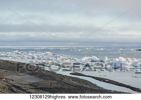 Stock Photograph - Small pieces of Sea Ice congregate on the shore of the Arctic Ocean on a calm day, Barrow, Arctic Alaska, USA, Summer. Fotosearch