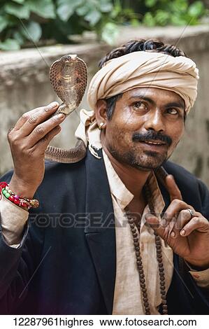 Snake charmer carrying cobra; New Delhi, Delhi, India View Large Photo Image Stock Photograph - Snake charmer carrying cobra; New Delhi, Delhi, India. Fotosearch