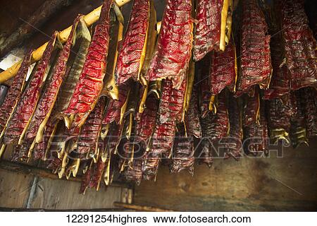 Sockeye salmon hang to dry in a smoke house at a fish camp at the headwaters of the Newhalen River in the Bristol Bay region of Alaska. View Large Photo Image Stock Photograph - Sockeye salmon hang to dry in a smoke house at a fish camp at the headwaters of the Newhalen River in the Bristol Bay region of Alaska.. Fotosearch