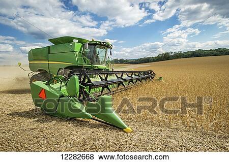 Soybean harvester in a soybean field; Laytonsville, Maryland, United States of America View Large Photo Image Stock Photo - Soybean harvester in a soybean field; Laytonsville, Maryland, United States of America. Fotosearch