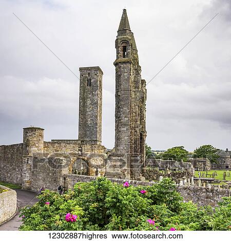 Stock Photograph - St. Andrews Cathedral; St. Andrews, Fife, Scotland. Fotosearch
