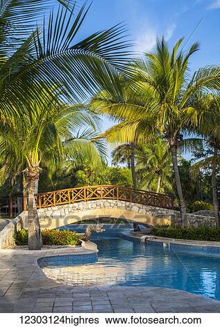 Swimming pool and footbridge at a resort on the Caribbean; Playa del Carmen, Quintana Roo, Mexico View Large Photo Image Stock Photograph - Swimming pool and footbridge at a resort on the Caribbean; Playa del Carmen, Quintana Roo, Mexico. Fotosearch