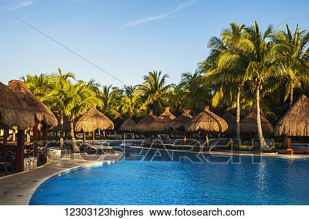 Swimming pool and lounge chairs at a resort on the Caribbean; Playa del Carmen, Quintana Roo, Mexico View Large Photo Image Stock Photograph - Swimming pool and lounge chairs at a resort on the Caribbean; Playa del Carmen, Quintana Roo, Mexico. Fotosearch