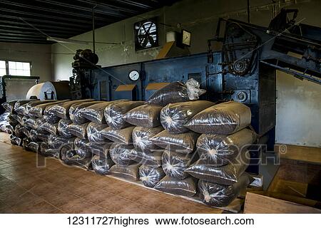 Stock Photograph - Tea ready to sell at Porto Formoso Tea Plantation; Sao Miguel, Azores, Portugal. Fotosearch