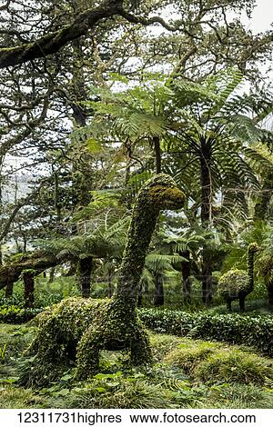 Stock Photograph - Terra Nostra Botanical Park; Furnas, Sao Miguel, Azores, Portugal. Fotosearch