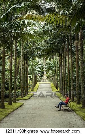 Terra Nostra Botanical Park; Furnas, Sao Miguel, Azores, Portugal View Large Photo Image Stock Photograph - Terra Nostra Botanical Park; Furnas, Sao Miguel, Azores, Portugal. Fotosearch