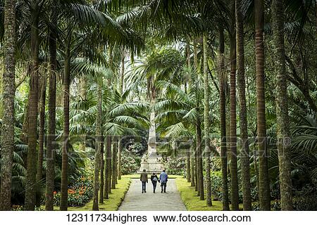 Stock Photograph - Terra Nostra Botanical Park; Furnas, Sao Miguel, Azores, Portugal. Fotosearch