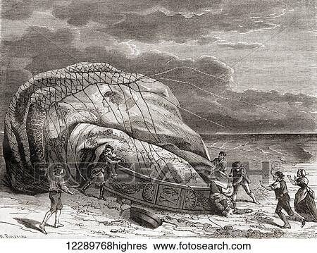 The death of Jean-Franois Piltre de Rozier in 1785 when his hot air balloon crashed near Wimereux, Pas-de-Calais, France during an attempt to fly across the English Channel. From Les Merveilles de la Science, published c. 1870 View Large Photo Image Stock Photograph - The death of Jean-Franois Piltre de Rozier in 1785 when his hot air balloon crashed near Wimereux, Pas-de-Calais, France during an attempt to fly across the English Channel. From Les Merveilles de la Science, published c. 1870. Fotosearch