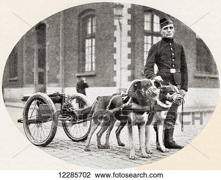 Stock Image - The dogs of war. A Belgian mitrailleuse drawn by dogs during World War One. From The History of the Great War, published c. 1919. Fotosearch