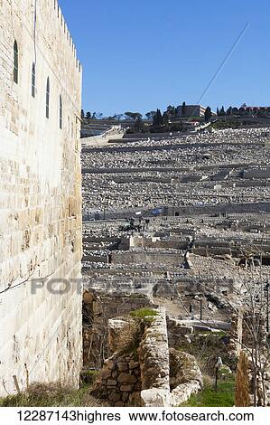 The graves that line the hillside of the Mount of Olives can be seen from the southern wall of the Temple Mount; Jerusalem, Israel View Large Photo Image Stock Photograph - The graves that line the hillside of the Mount of Olives can be seen from the southern wall of the Temple Mount; Jerusalem, Israel. Fotosearch