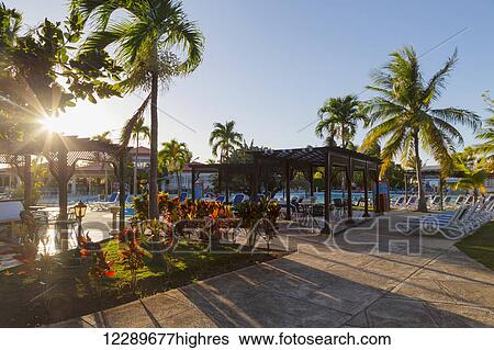 Stock Photograph - The sun setting through the palm trees and creates long shadows on the pool deck at this resort in Cuba; Varadero, Cuba. Fotosearch