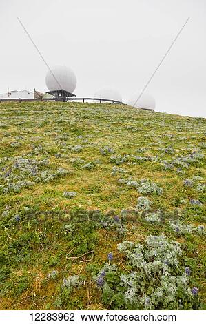 Three radar domes sit atop a green tundra hillside, St. Paul Island, Southwestern Alaska, USA, Summer View Large Photo Image Stock Image - Three radar domes sit atop a green tundra hillside, St. Paul Island, Southwestern Alaska, USA, Summer . Fotosearch