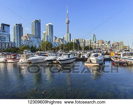 Toronto harbourfront marina; Toronto, Ontario, Canada View Large Photo Image Stock Photograph - Toronto harbourfront marina; Toronto, Ontario, Canada. Fotosearch