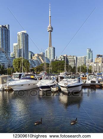 Toronto harbourfront marina; Toronto, Ontario, Canada View Large Photo Image Stock Photograph - Toronto harbourfront marina; Toronto, Ontario, Canada. Fotosearch