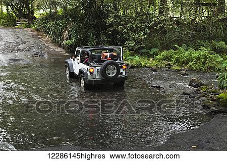Stock Photograph - Tourist 4-wheel drive jeep crosses Waipio River in Waipio River Valley; Waipio, Oahu, Hawaii, United States of America. Fotosearch