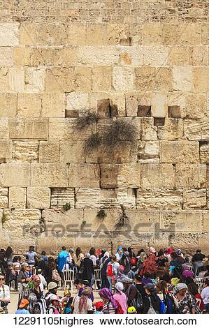 Tourists and Orthodox jews at the Wailing Wall; Jerusalem, Israel View Large Photo Image Stock Photograph - Tourists and Orthodox jews at the Wailing Wall; Jerusalem, Israel. Fotosearch