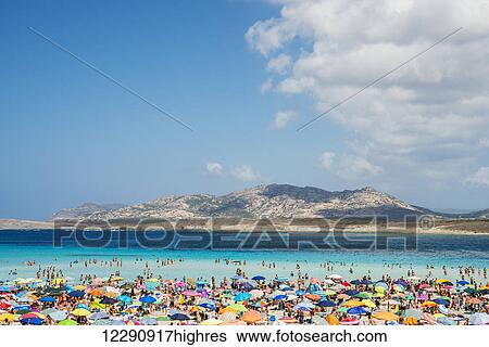 Tourists enjoying the turquoise waters of famous Pelosa Beach; Stintino, Sardinia, Italy View Large Photo Image Stock Photograph - Tourists enjoying the turquoise waters of famous Pelosa Beach; Stintino, Sardinia, Italy. Fotosearch