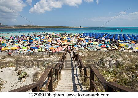 Tourists enjoying the turquoise waters of famous Pelosa Beach; Stintino, Sardinia, Italy View Large Photo Image Stock Photograph - Tourists enjoying the turquoise waters of famous Pelosa Beach; Stintino, Sardinia, Italy. Fotosearch