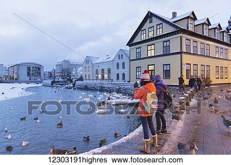 Stock Photograph - Tourists wearing jackets and hats stand at the edge taking photos of swans and ducks in the Tjornin (the pond) in central Reykjavik; Reykjavik, Iceland. Fotosearch