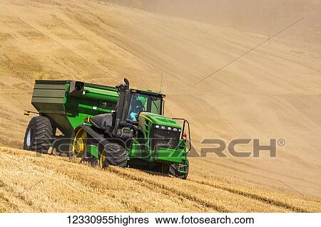 Stock Photograph - Tractor Pulling A Grain Cart During Wheat Harvest In The Palouse Region Of Eastern Washington; Washington, United States Of America. Fotosearch