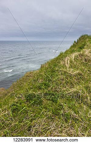 Tundra grasses on a hill along the shores of the Bering Sea, St. Paul Island, Southwestern Alaska, USA, Summer View Large Photo Image Stock Image - Tundra grasses on a hill along the shores of the Bering Sea, St. Paul Island, Southwestern Alaska, USA, Summer. Fotosearch