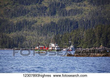 Two commercial fishing boats on the waters of Main Bay near Whittier, Prince William Sound, Southcentral Alaska, USA View Large Photo Image Stock Photograph - Two commercial fishing boats on the waters of Main Bay near Whittier, Prince William Sound, Southcentral Alaska, USA. Fotosearch
