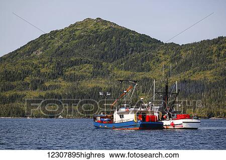 Stock Photograph - Two commercial fishing boats on the waters of Main Bay near Whittier, Prince William Sound, Southcentral Alaska, USA. Fotosearch