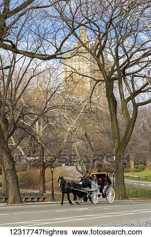 Stock Photograph - View of a horse drawn carriage in Central Park; New York City, New York, United States of America. Fotosearch