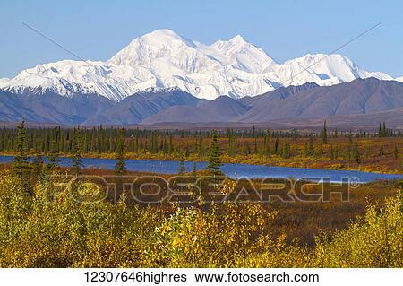 View of Denali from the Parks Hwy. South of Cantwell, Alaska. September. Interior Alaska. View Large Photo Image Stock Photograph - View of Denali from the Parks Hwy. South of Cantwell, Alaska. September. Interior Alaska.. Fotosearch