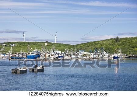 View of Sand Point harbor with two skiffs in the foreground, Popof Island, Southwestern Alaska, USA, summer View Large Photo Image Stock Photograph - View of Sand Point harbor with two skiffs in the foreground, Popof Island, Southwestern Alaska, USA, summer. Fotosearch