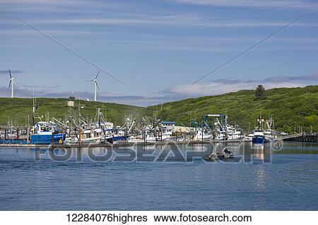 Stock Photograph - View of Sand Point harbor with two skiffs in the foreground, Popof Island, Southwestern Alaska, USA, summer. Fotosearch