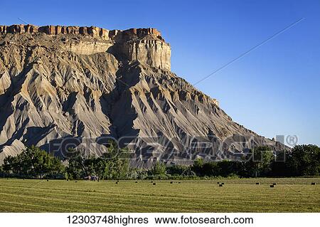 Vivid green hay field with tractor and hay bales beneath a towering mesa and escarpment bathed in afternoon sunlight with a clear blue sky; Utah, United States of America View Large Photo Image Stock Photograph - Vivid green hay field with tractor and hay bales beneath a towering mesa and escarpment bathed in afternoon sunlight with a clear blue sky; Utah, United States of America. Fotosearch