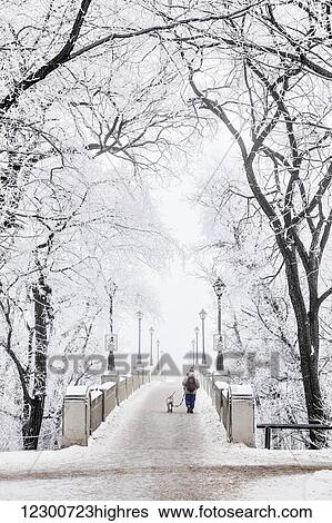 Stock Photograph - Walking a dog over footbridge on a frosty winter day in Assiniboine Park; Winnipeg, Manitoba, Canada. Fotosearch