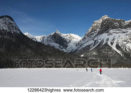 Walking and skiing in the snow on frozen Lake Louise; Lake Louise, Alberta, Canada View Large Photo Image Stock Photograph - Walking and skiing in the snow on frozen Lake Louise; Lake Louise, Alberta, Canada. Fotosearch