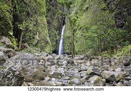 Stock Photograph - Waterfall at Sacred Falls State Park; Oahu, Hawaii, United States of America. Fotosearch