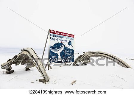 Welcome to Barrow sign next to whale bones, North Slope, Arctic Alaska, USA, Winter View Large Photo Image Stock Photograph - Welcome to Barrow sign next to whale bones, North Slope, Arctic Alaska, USA, Winter. Fotosearch
