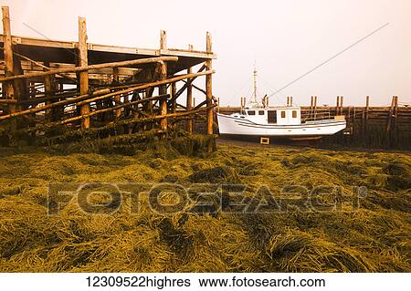 Stock Photograph - White boat at wharf during low tide; Brier Island, Nova Scotia, Canada. Fotosearch