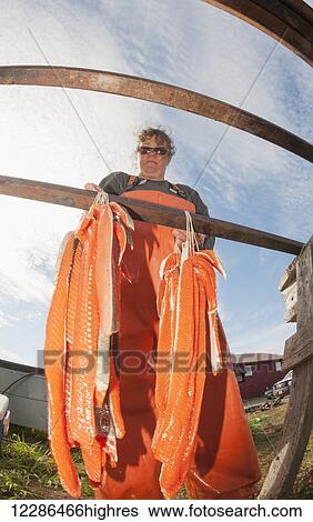 Woman hanging salmon to dry on rack at fish camp in Bristol Bay, Southwest Alaska, Summer View Large Photo Image Stock Photograph - Woman hanging salmon to dry on rack at fish camp in Bristol Bay, Southwest Alaska, Summer. Fotosearch